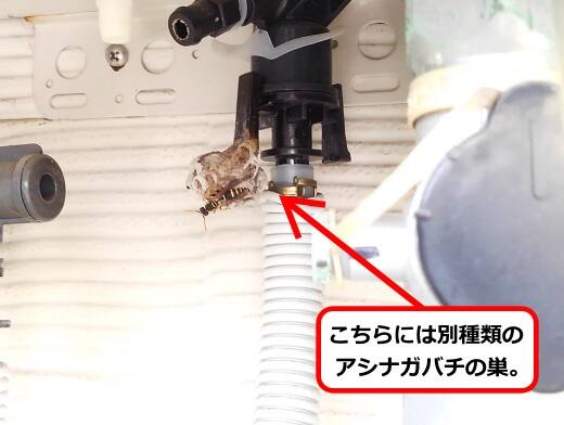 給湯器配管蜂の巣