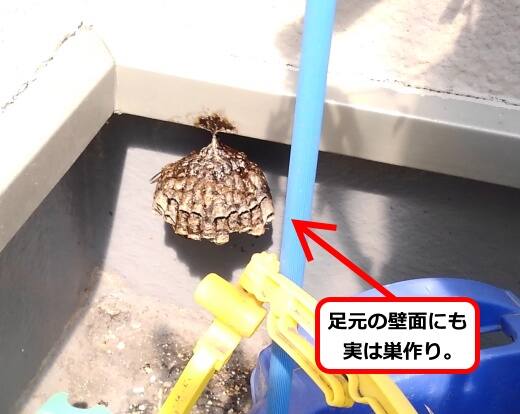 ベランダ壁面蜂の巣