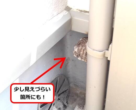 ベランダ隅蜂の巣