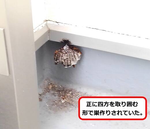 ベランダ四方蜂の巣