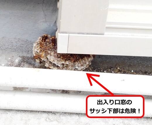 窓サッシ下部蜂の巣