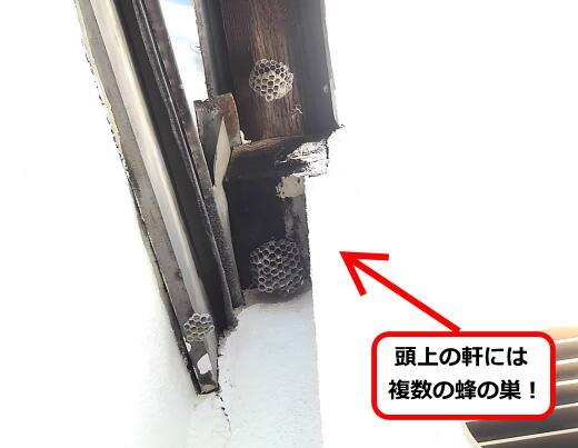 勝手口軒蜂の巣