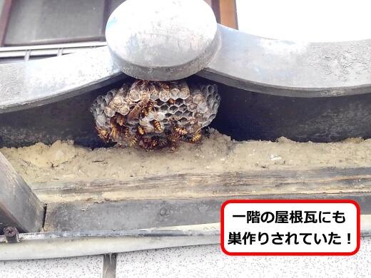 屋根瓦蜂の巣