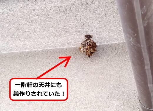 軒天井蜂の巣