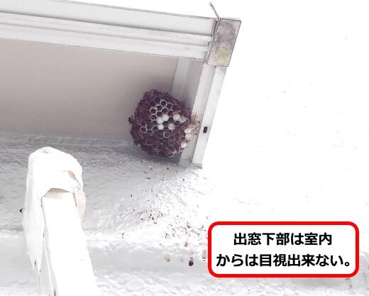 出窓アシナガバチ巣