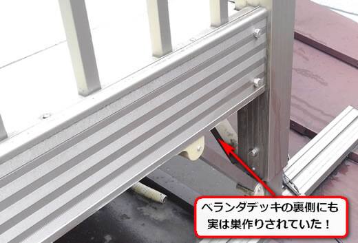 蜂の巣ベランダデッキ裏