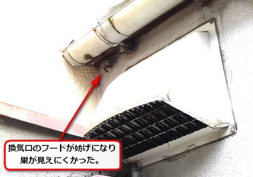 蜂の巣軒隙間