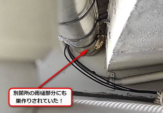 ハチの巣雨どい