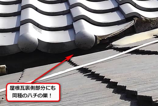 蜂の巣屋根瓦