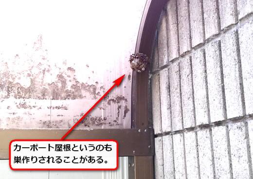 蜂の巣カーポート