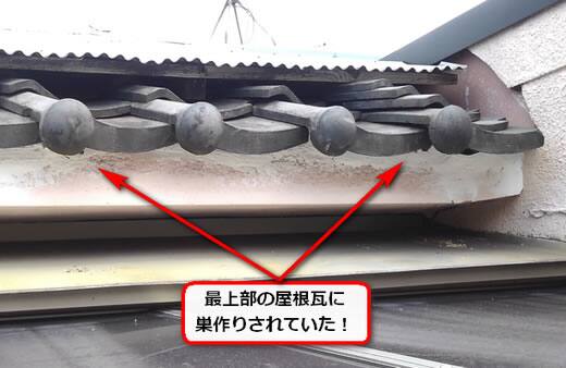 ハチの巣屋根瓦