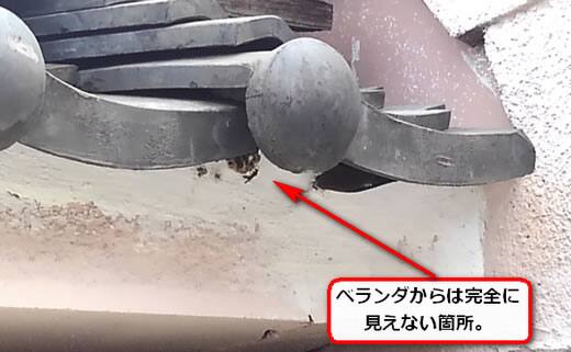 ハチの巣最上部軒