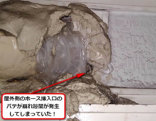 アシナガバチ侵入口屋外