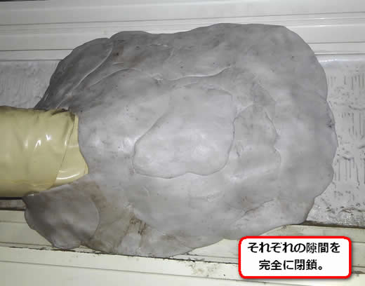 アシナガバチ侵入口閉鎖