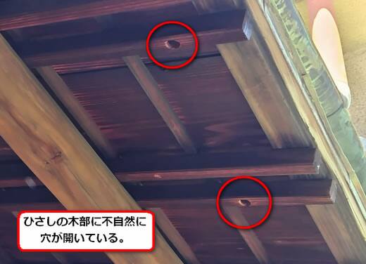 クマバチ駆除ひさし木部