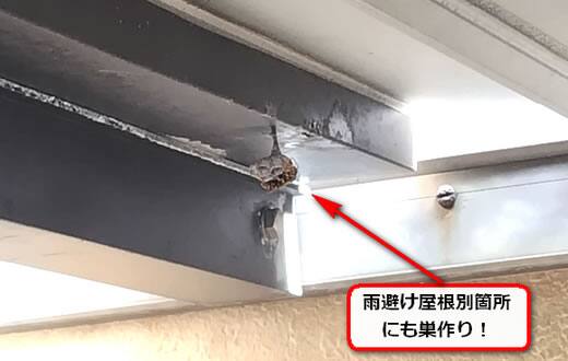 アシナガバチ駆除雨避け屋根