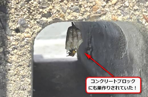 アシナガバチ駆除ブロック