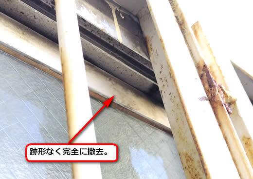 アシナガバチの巣完全除去