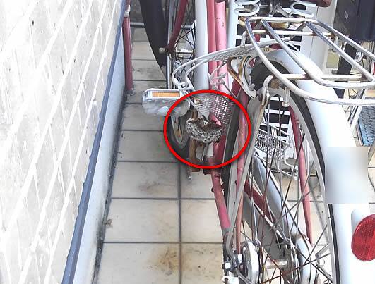 アシナガバチ駆除自転車