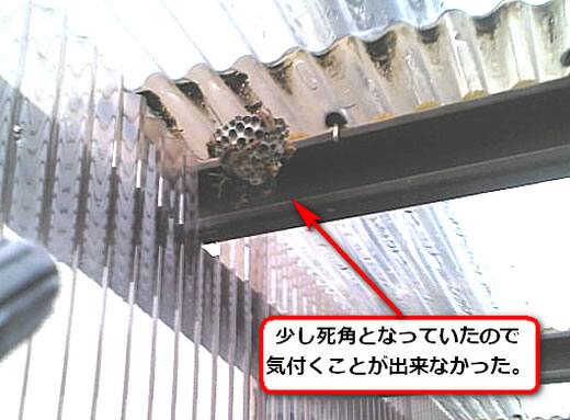 セグロアシナガバチの巣駆除