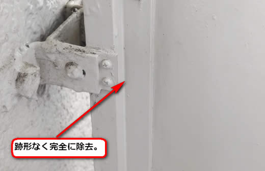 アシナガバチの巣完全除去