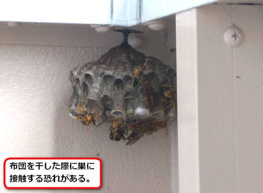 蜂の巣ベランダ手すり
