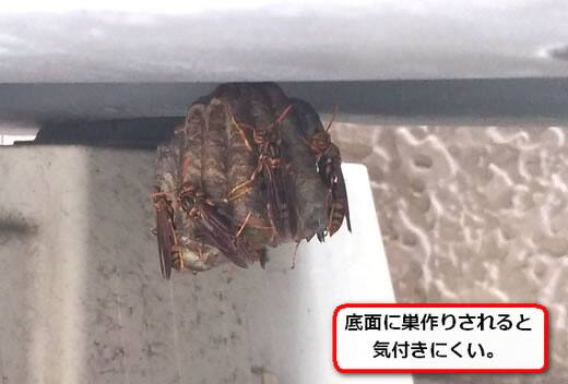 蜂の巣エアコン室外機