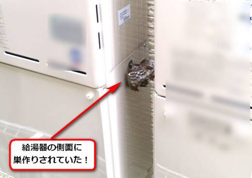 給湯器蜂の巣