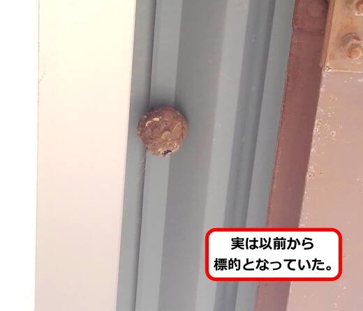 施設屋根蜂の巣