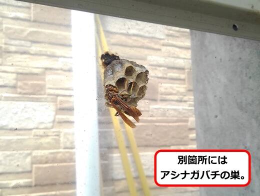 アクリル板蜂の巣