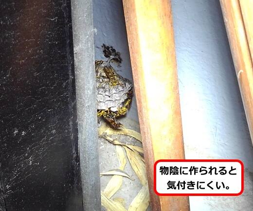 腰壁足元蜂の巣