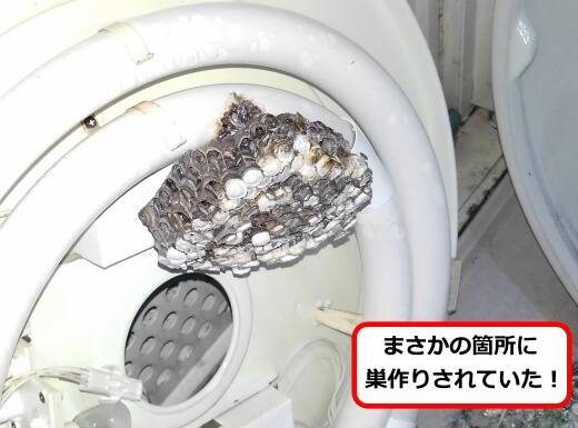 照明器具蜂の巣