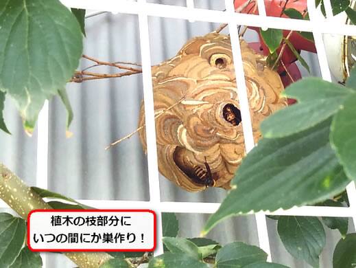 スズメバチ巣物置小屋