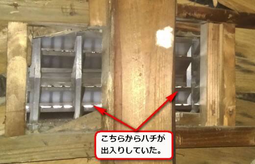 屋根裏ハチ侵入口