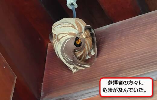 拝殿スズメバチ巣