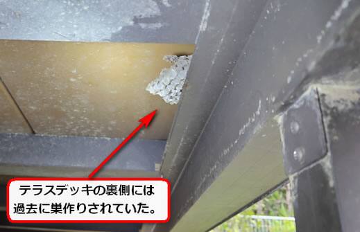 テラスデッキ蜂の巣