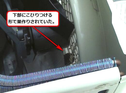 セグロアシナガバチの巣駆除