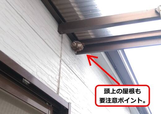 7月12日アシナガバチ