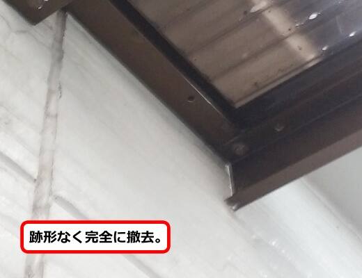 蜂の巣完全撤去