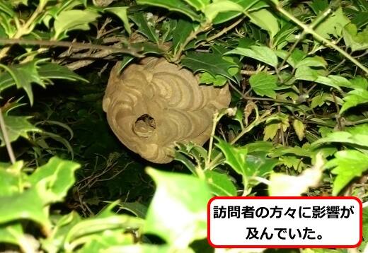 植木枝スズメバチ巣