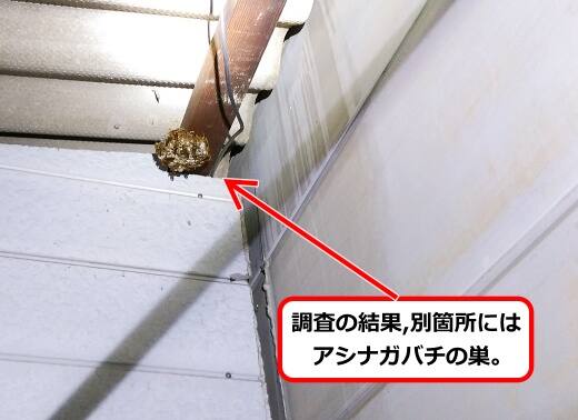 物置小屋蜂の巣