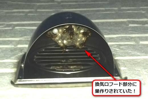 換気口フード蜂の巣