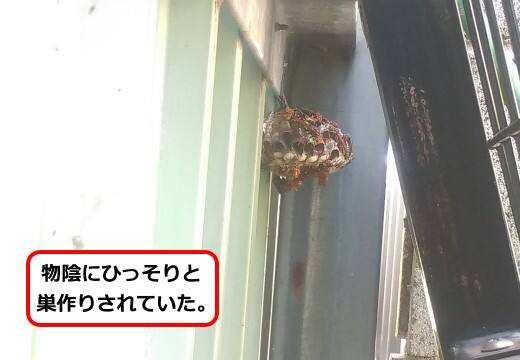 フェンス蜂の巣