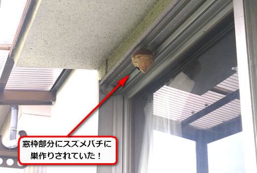 ハチの巣窓枠