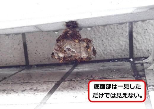 室外機底面蜂の巣