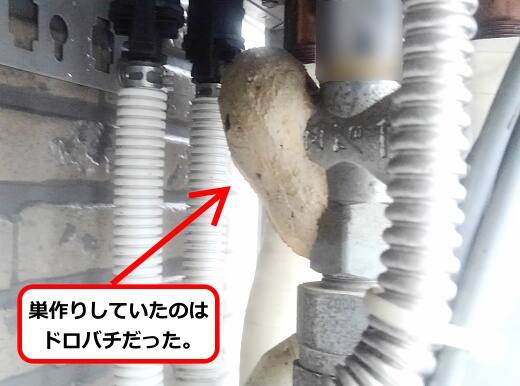 給湯器ドロバチ巣