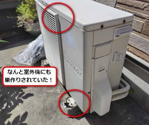 アシナガバチ駆除室外機