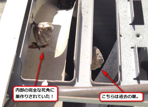 セグロアシナガバチの巣駆除