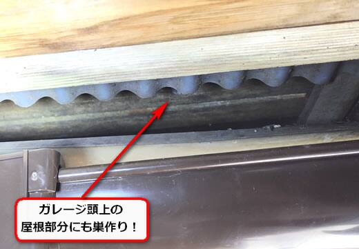 ガレージ蜂の巣