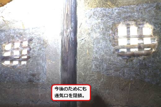 スズメバチ侵入防止